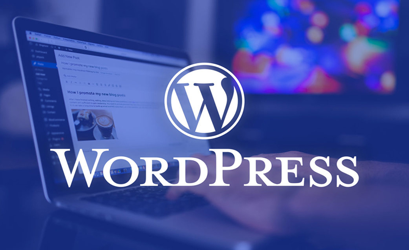WordPress là gì? Ưu, nhược điểm? Tại sao nên dùng WordPress để thiết kế web?